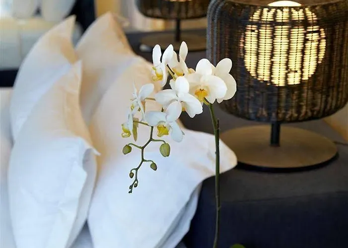 Hotel Cross Paasha Bali